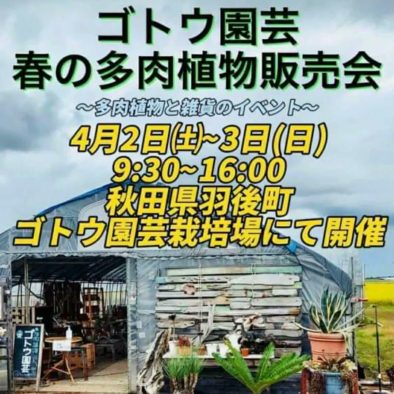 【4月2日（土）・3日（日）｜ゴトウ園芸】世界に一つだけのお気に入りが見つかる！「多肉植物販売会」開催 | UGONEWS【ウゴニュー】